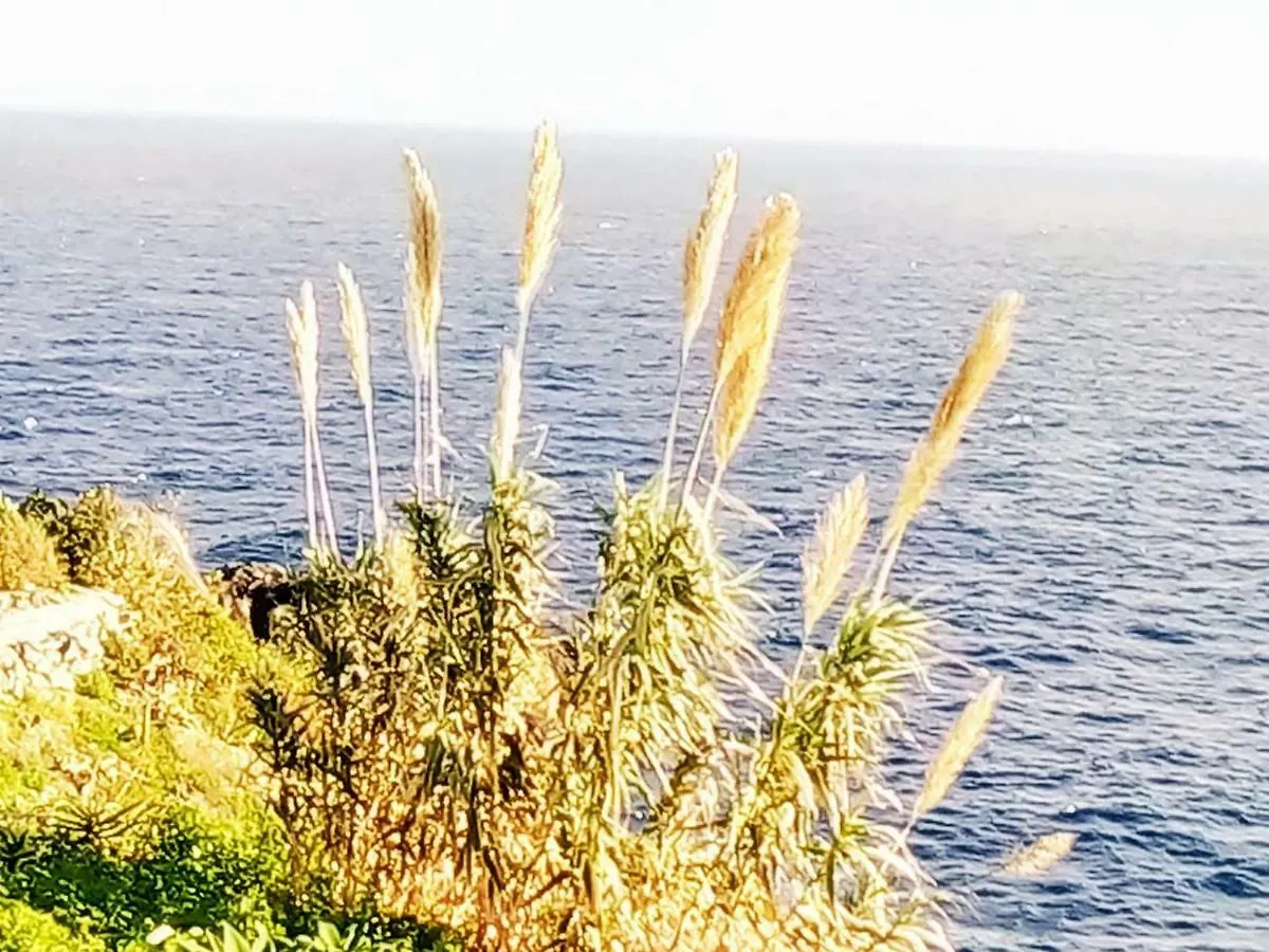דירות Canico Gardensea פורטוגל
